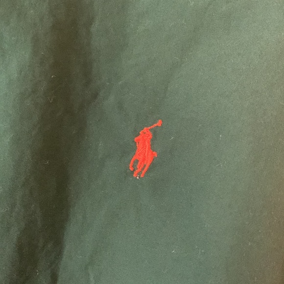 Polo Custom Fit Button Down - Picture 2 of 4